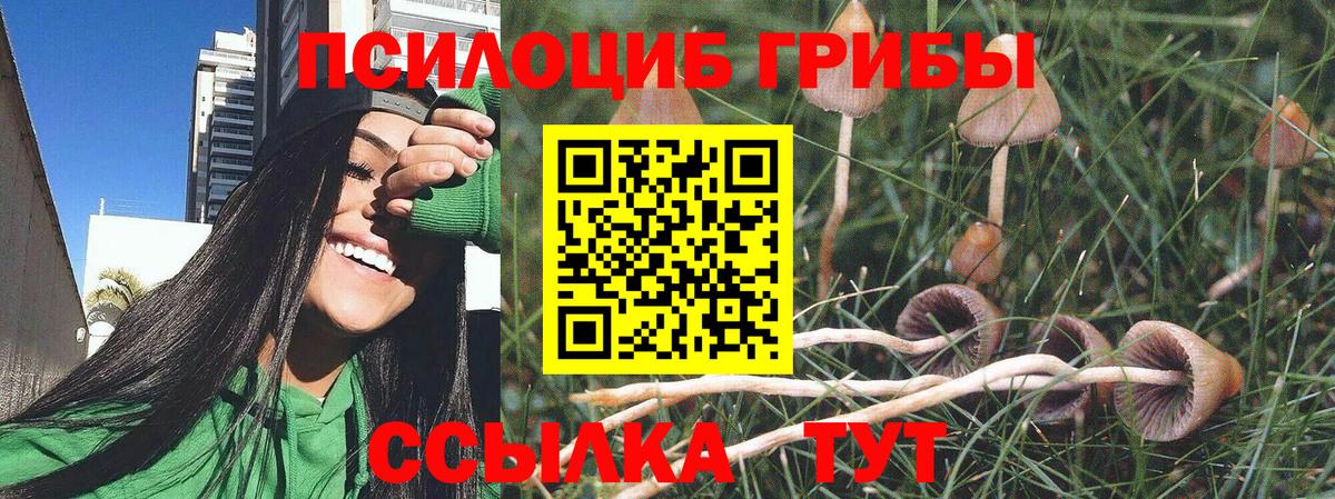 Южно-Сахалинск  Псилоцибиновые грибы мицелий  Вход с VPN 