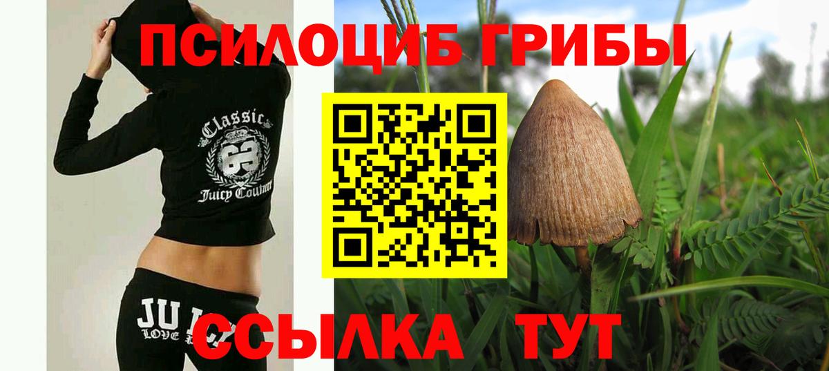 Псилоцибиновые грибы Cubensis Южно-Сахалинск
